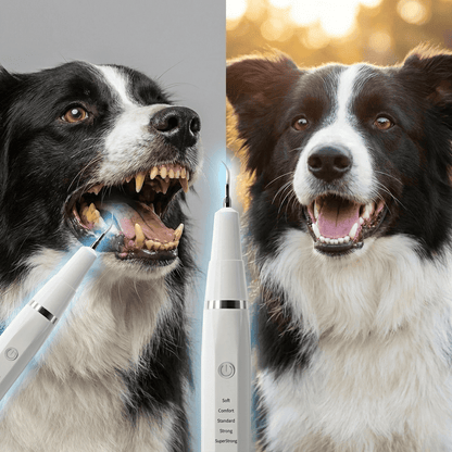 Removedor de Tártaro para Cachorros