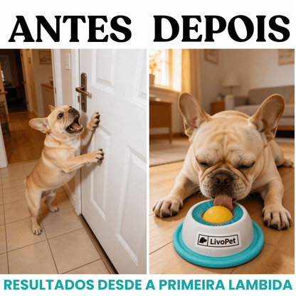 Zenball™ – Bowl Anti-Ansiedade de Lambida Rítmica