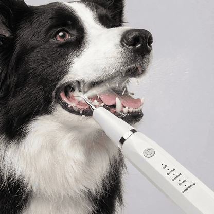 Removedor de Tártaro para Cachorros