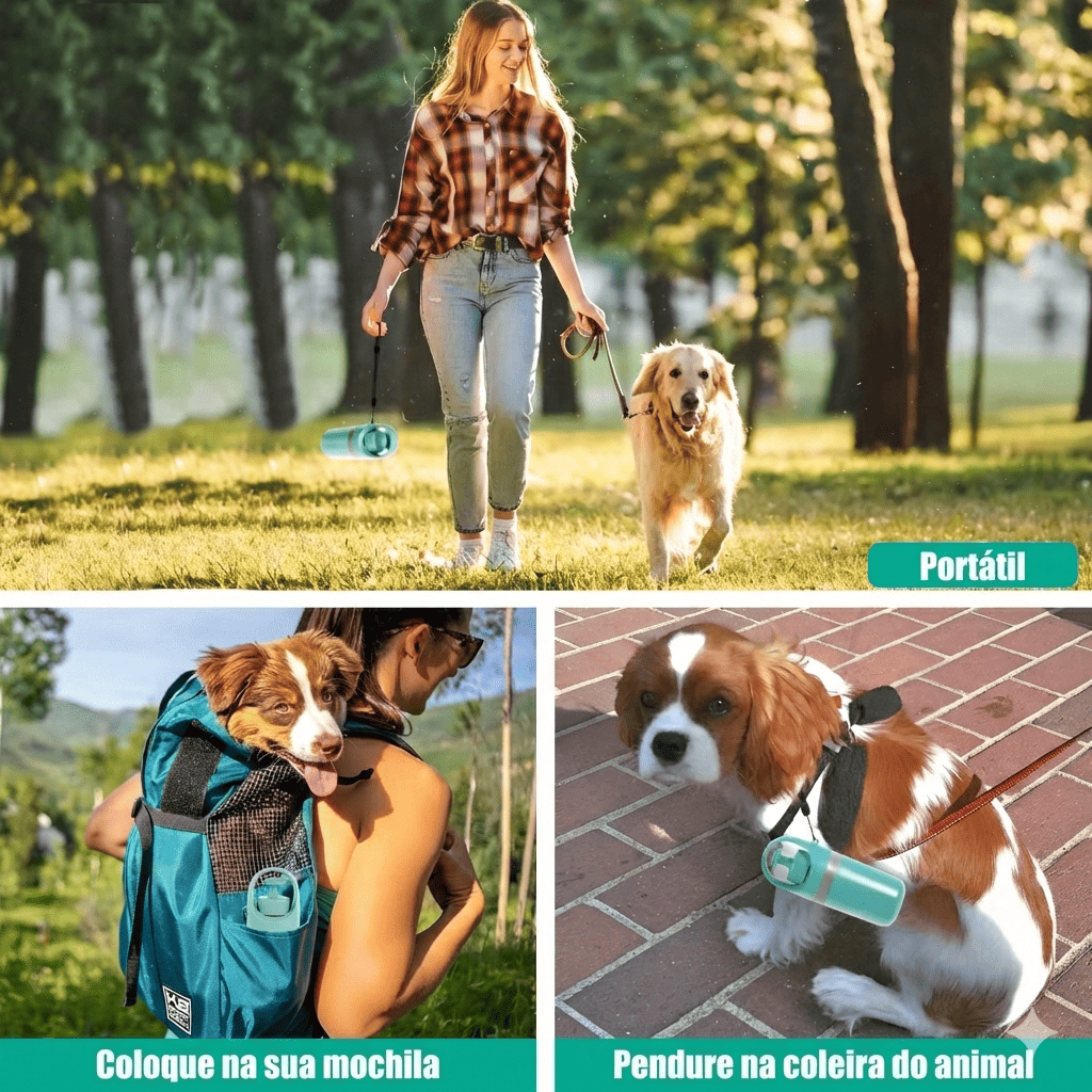 LivoCatch™ Higiene Total no Passeio