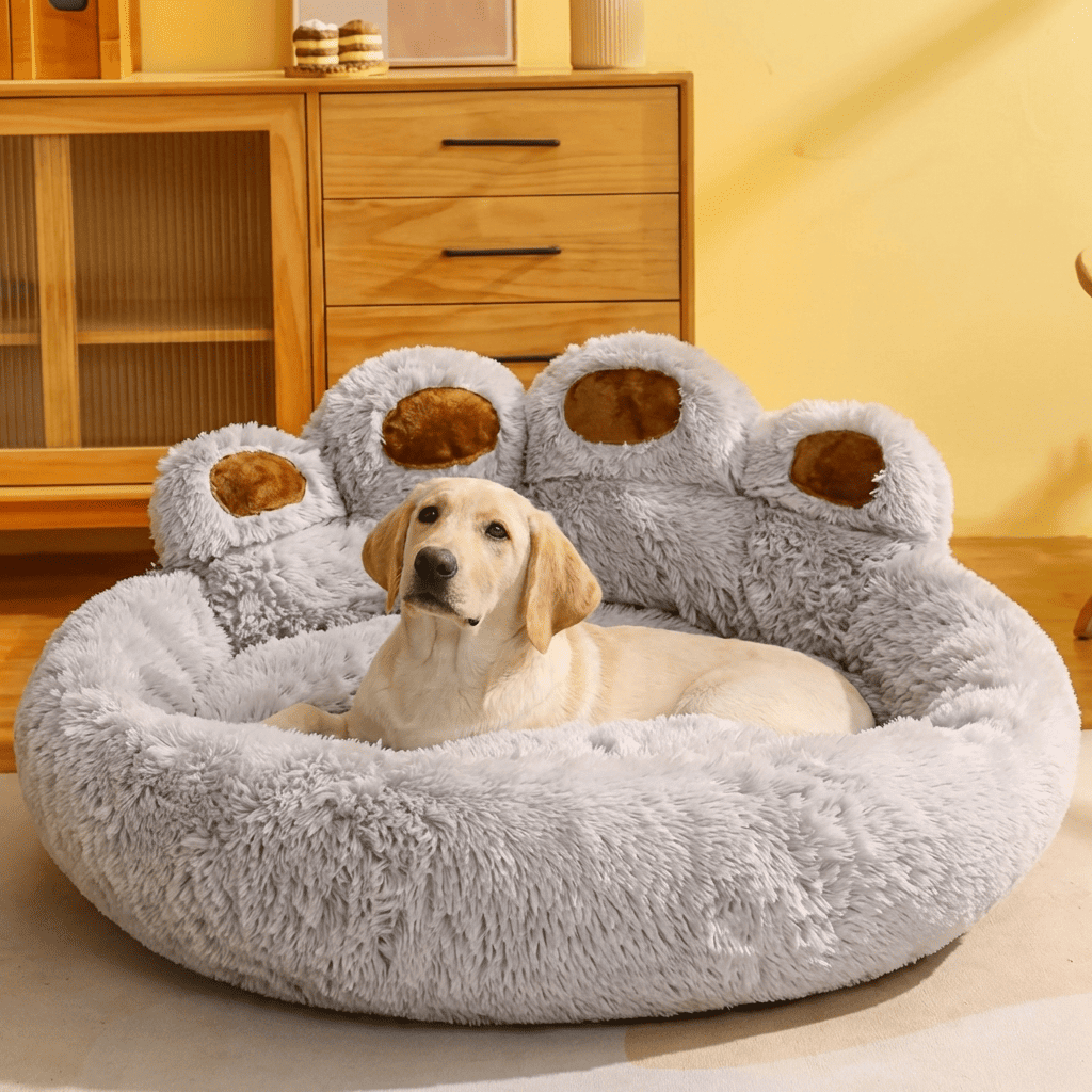 NuvemSleep™ - Cama Ortopédica Relaxante