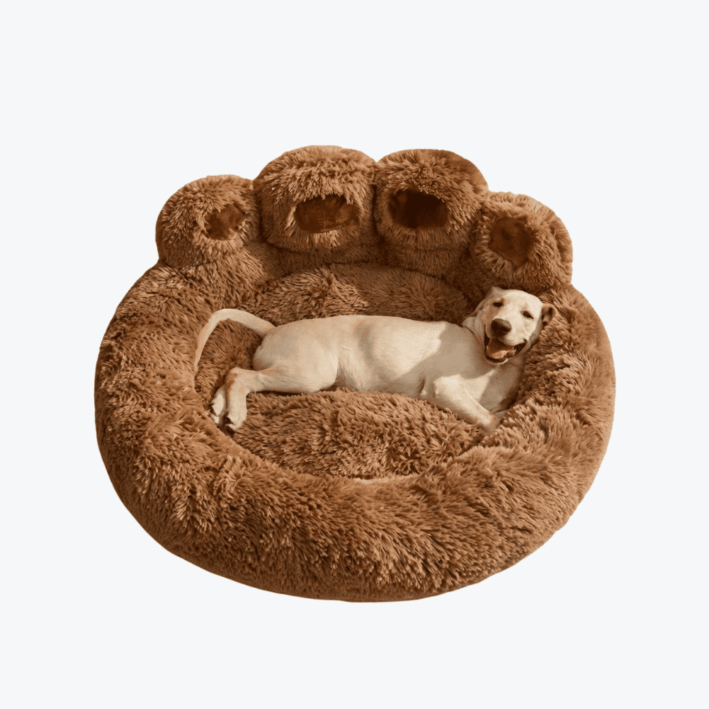 NuvemSleep™ - Cama Ortopédica Relaxante
