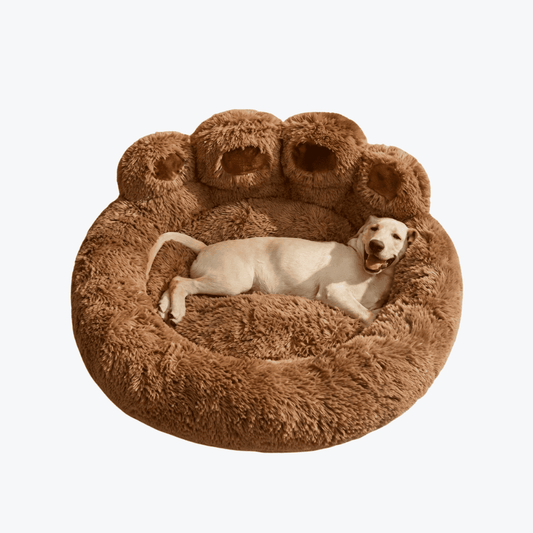 NuvemSleep™ - Cama Ortopédica Relaxante