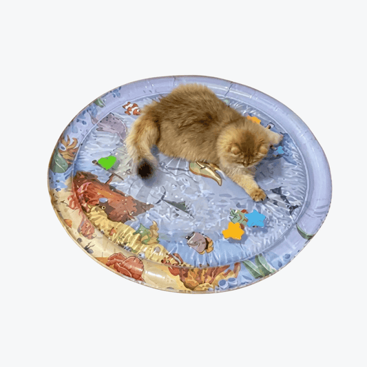 AquaPlay™ LivoPet Tapete Refrescante