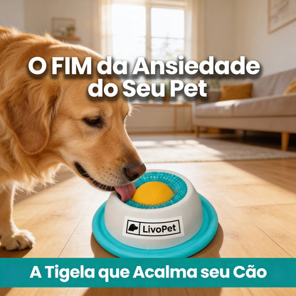 Zenball™ - Esfera de Foco e Relaxamento