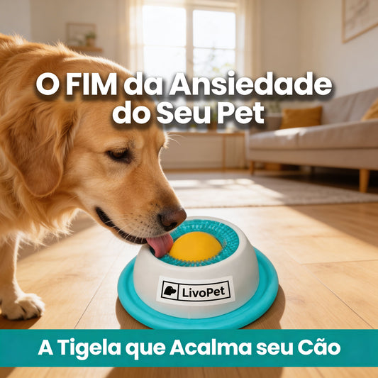 Zenball™ - Esfera de Foco e Relaxamento