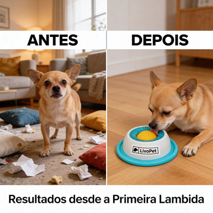 Zenball™ - Esfera de Foco e Relaxamento